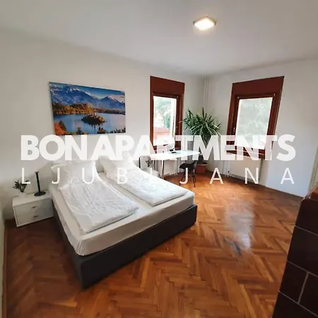 Huge Bbq Garden 2, Spacious Flat, Ac, Free Parking 2 * Ljubljana