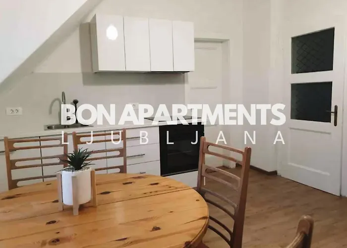 Apartament Huge Bbq Garden 2, Spacious Flat, Ac, Free Parking 2 *