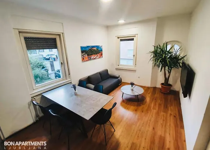 Huge Bbq Garden 2, Spacious Flat, Ac, Free Parking 2 Apartament Lublana